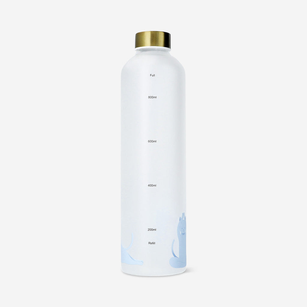Drinking bottle with frosted glass - 1 L